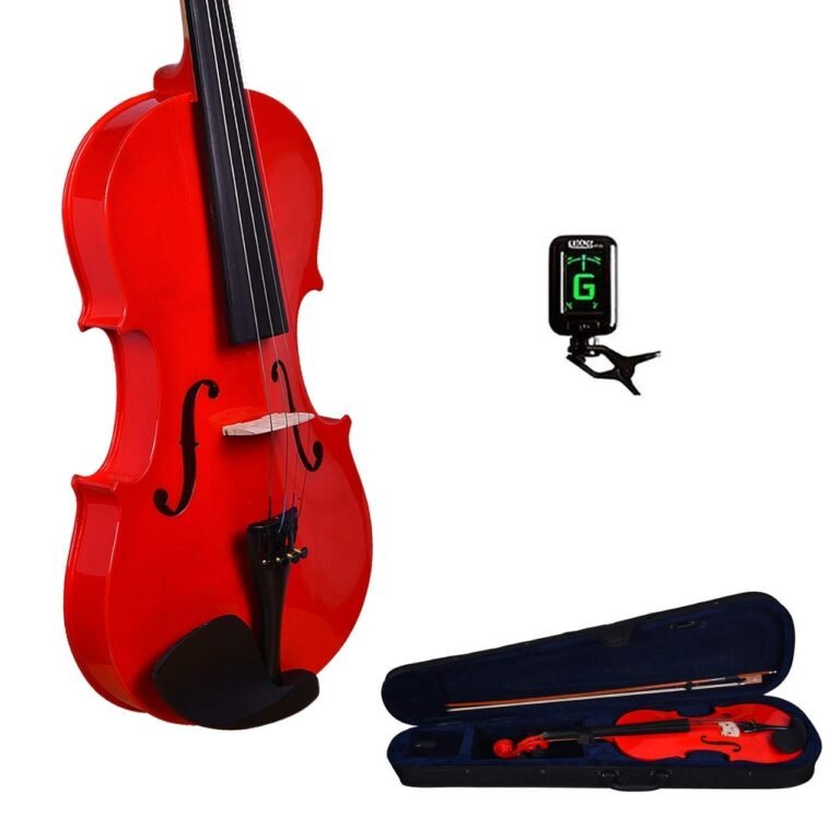 G & F VIOLIN 4/4 RED WINE COLOUR COMBO PACK