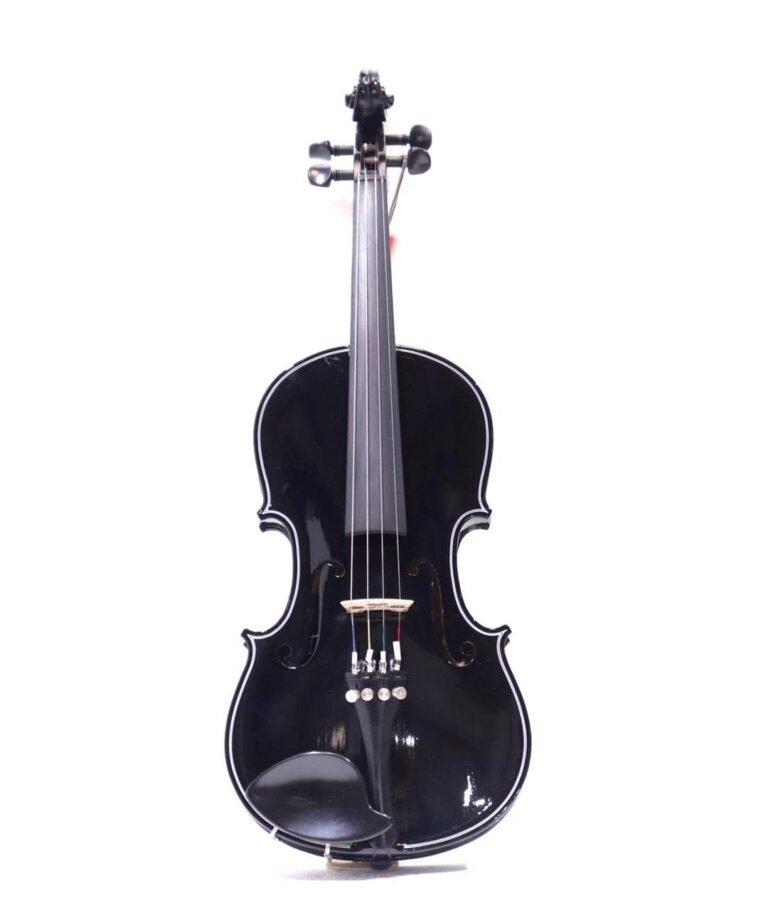 G & F Violin 4/4 BLACK Combo Pack