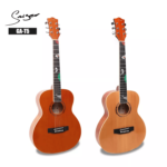 G&F Smiger Guitar Combo Pack