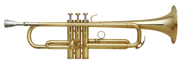 indian musical instruments