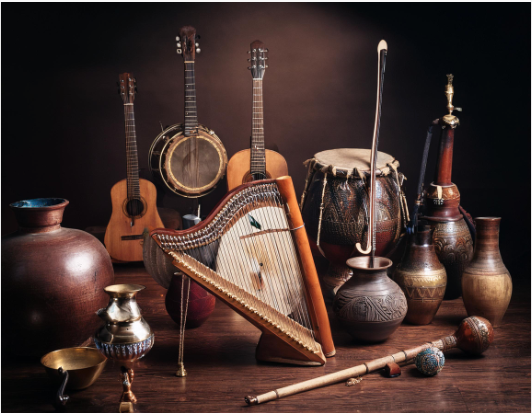Indian Musical Instrument store