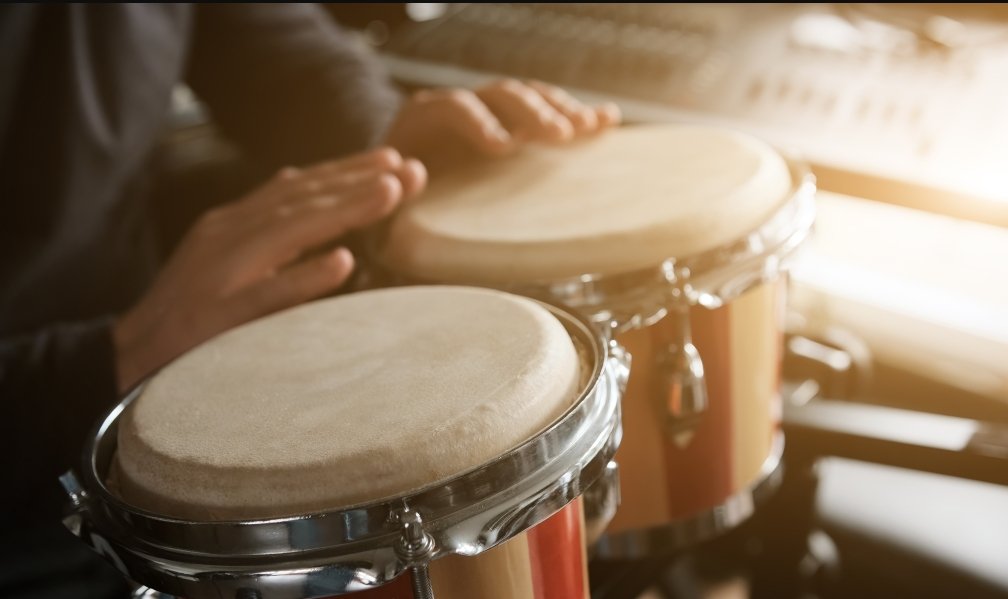 Percussion Shop Bangalore