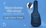 Guitar Double padded carry bag