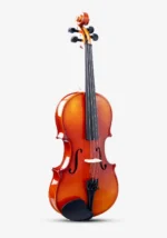 Smiger V-85S Violin with Solid Spruce Top for Sale in Bangalore