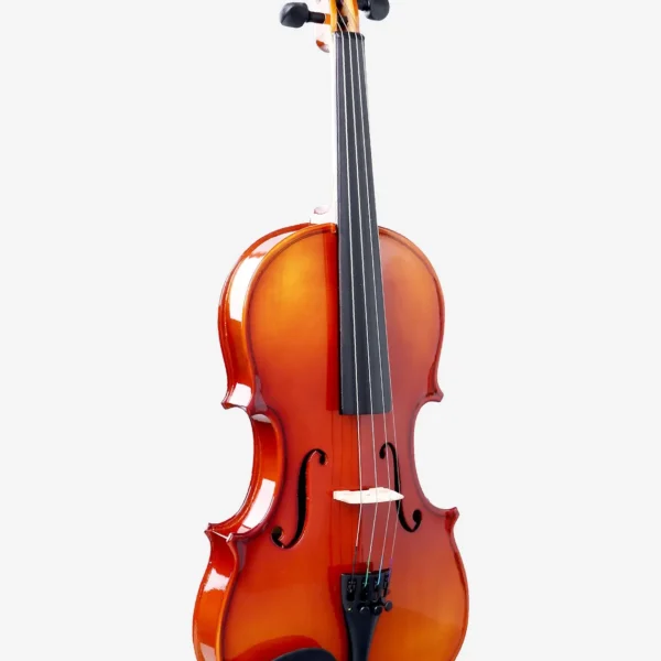 Smiger V-85S Violin with Solid Spruce Top for Sale in Bangalore
